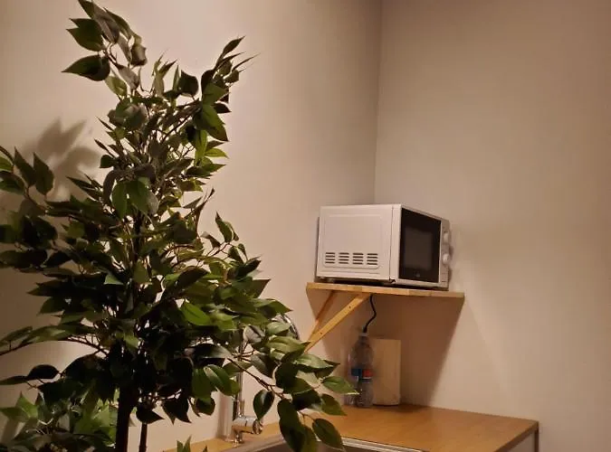 Small And Cozy - G 公寓